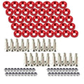 Engine Dress up Kit, 40 PCS Bumper Fender Washers ，M6 Dress up Bolts (Red)