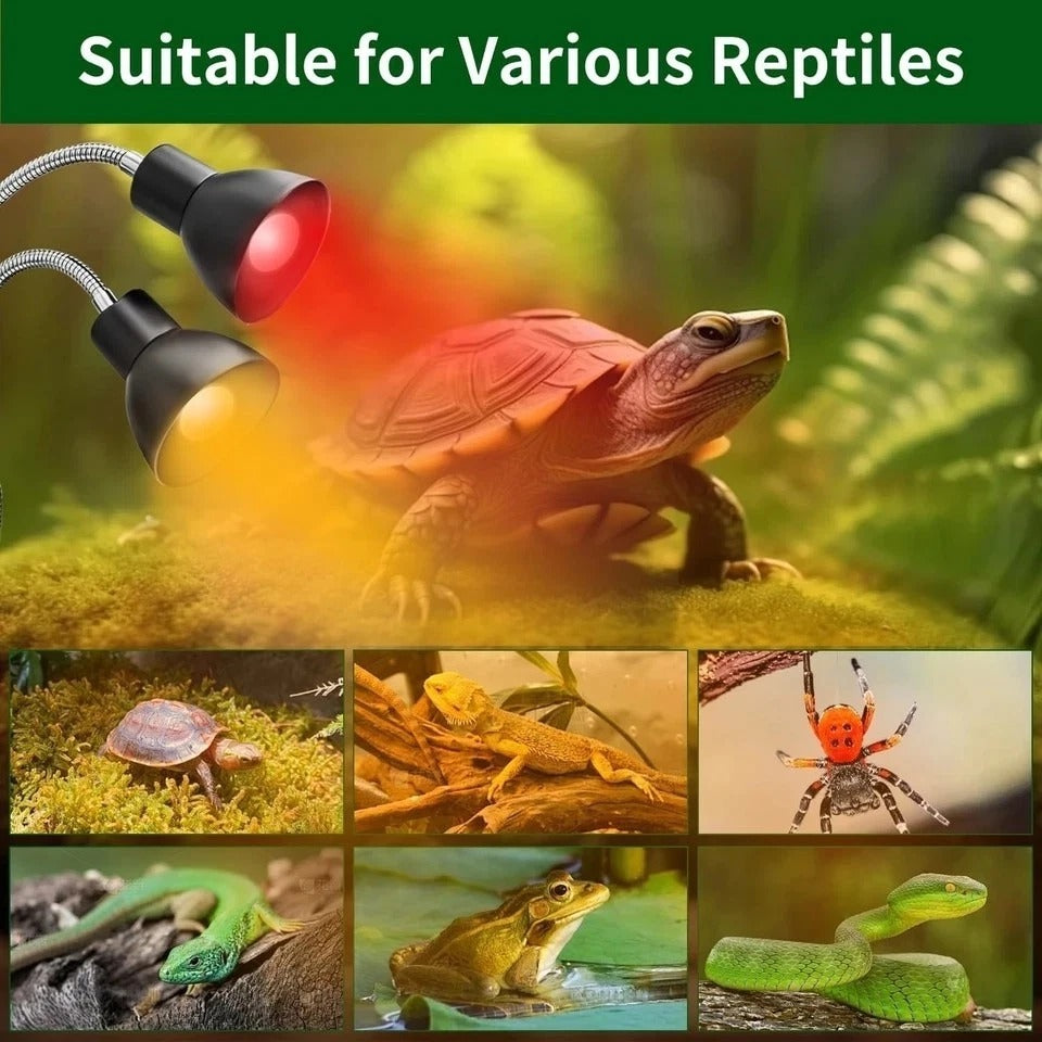 Reptile Heat Lamp, UVA UVB Light for Turtle, Bearded Dragon, Basking Light for B