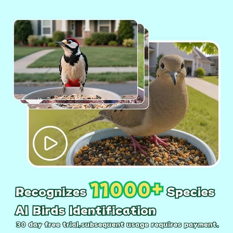 Smart Bird Feeder with Camera, 2.4Ghz Wifi Watching Camera Bird Feeders for Outd