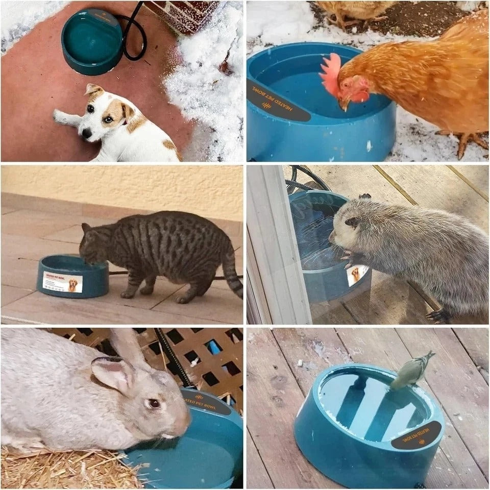 Heated Water Bowl for Cats Outdoor, 2.2L, Heated Pet Bowls for Chickens Rabbi...