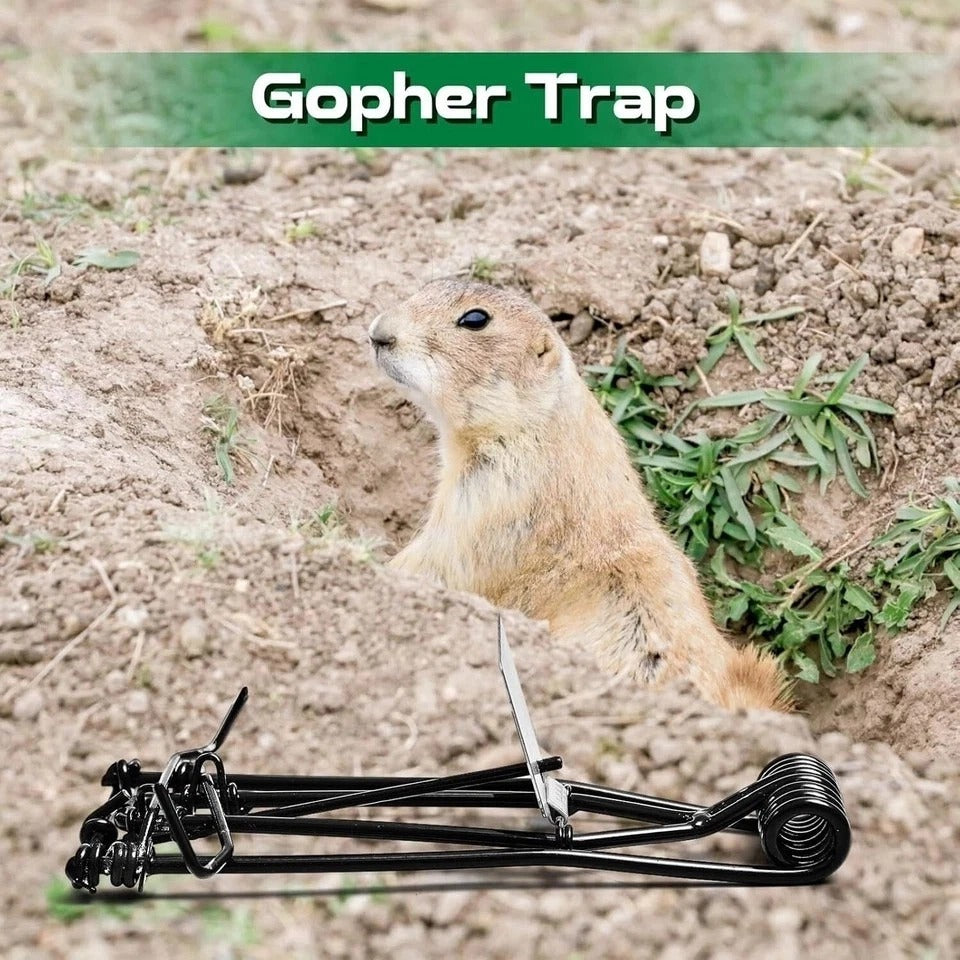 12 Pcs Outdoor Gopher Trap Easy Set Mole Trap Weather Resistant Gopher Killer...