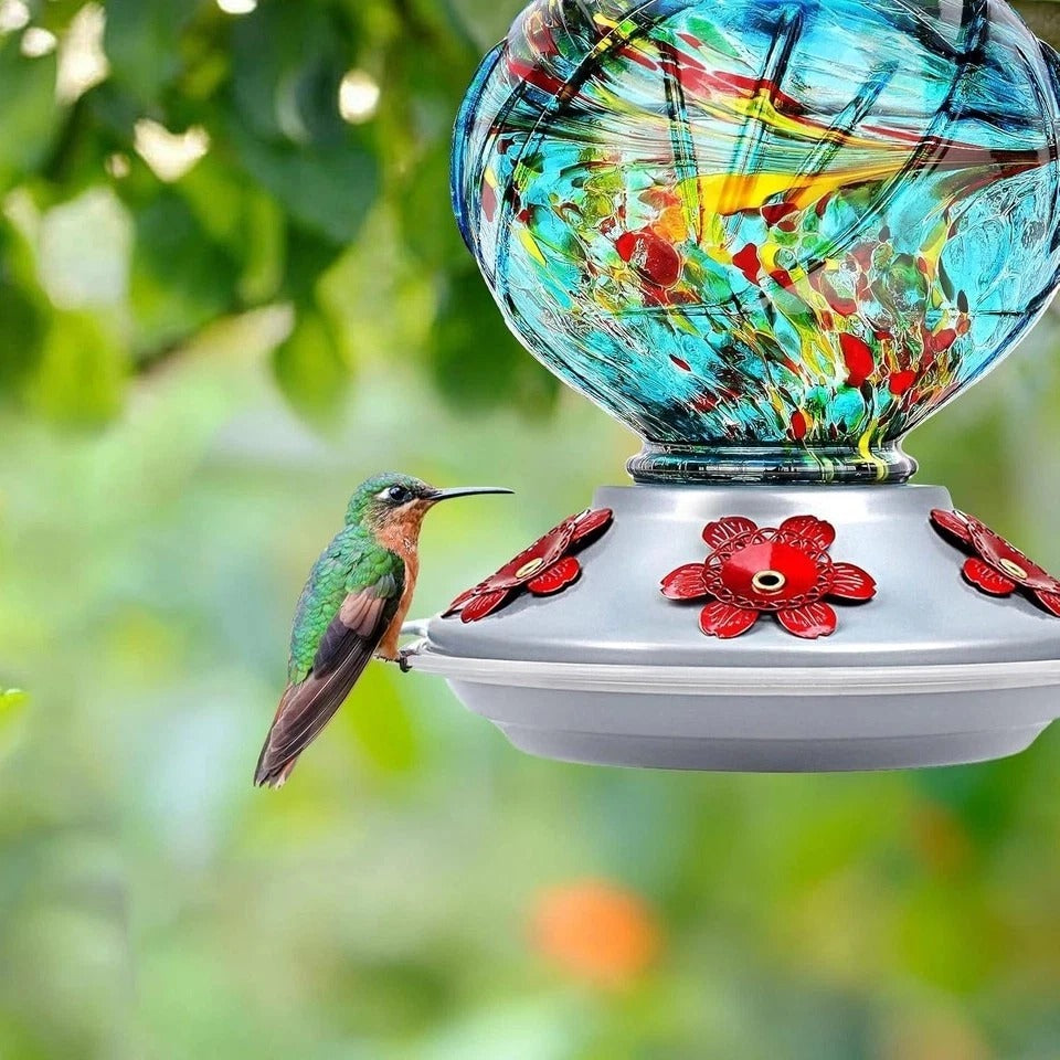Hummingbird Feeder, Hand Blown Glass Hummingbird Feeders for Outdoors Hanging, w