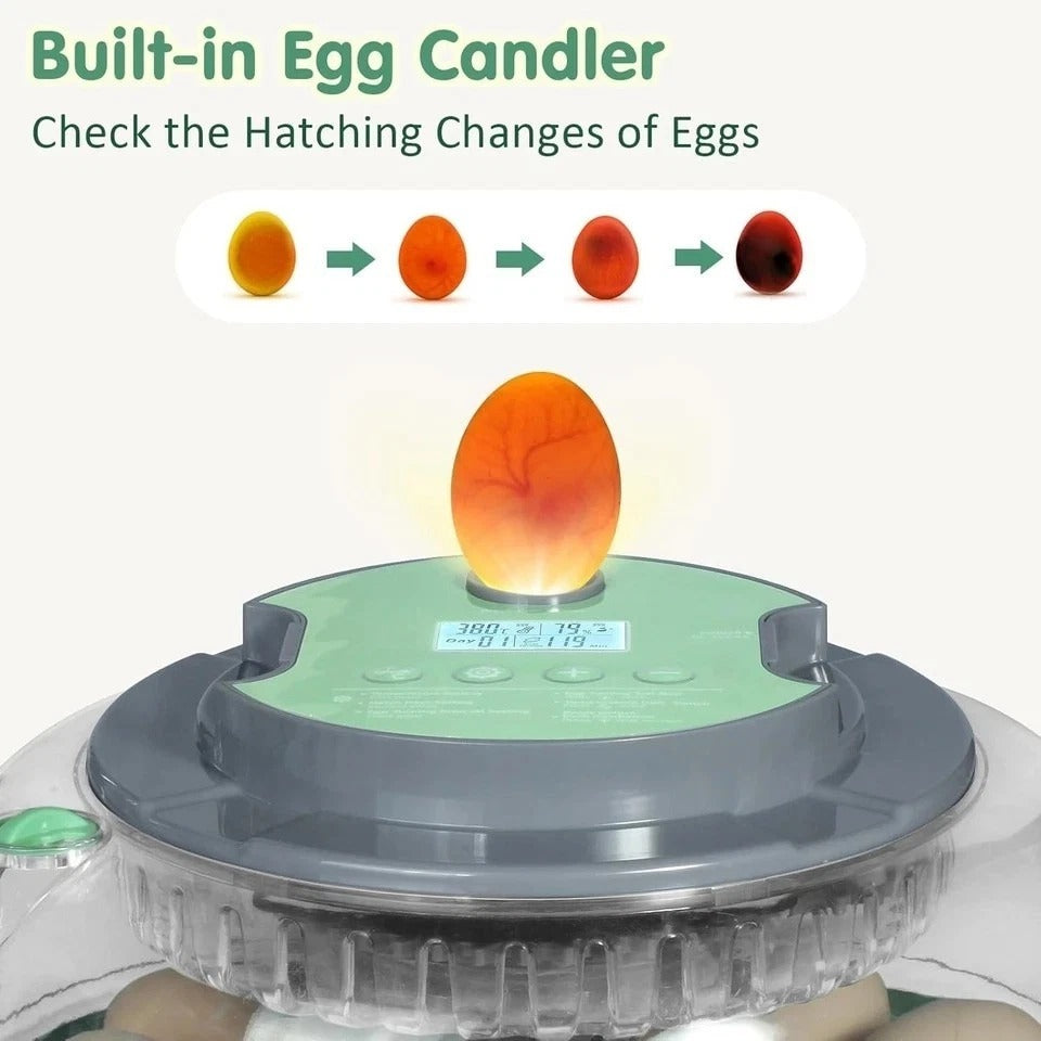 Incubators for Hatching Eggs,18 Egg Incubator with Automatic Egg Turning and ...