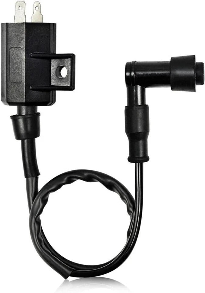 Igniter CDI and Ignition Coil Compatible with Bayou 220 Bayou 250 1996-2011
