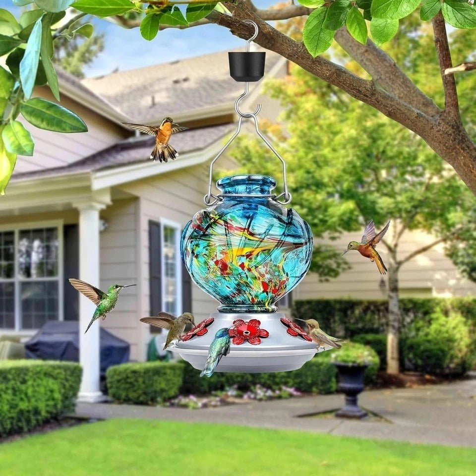 Hummingbird Feeder, Hand Blown Glass Hummingbird Feeders for Outdoors Hanging, w