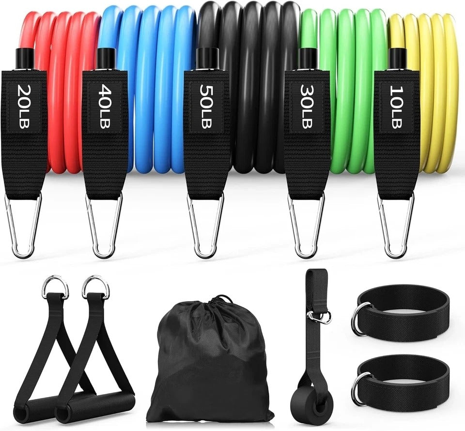 Resistance Bands, Exercise Bands Set for Working Out, Resistance Bands with Hand