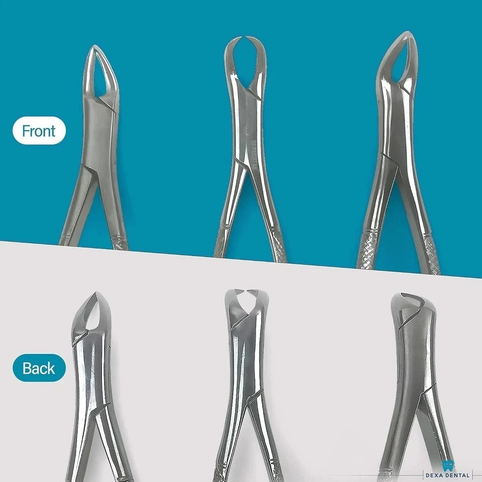 Heavy Duty Dental Extracting Forceps 150 151 23, Apical Forceps, Cowhorn Forc...