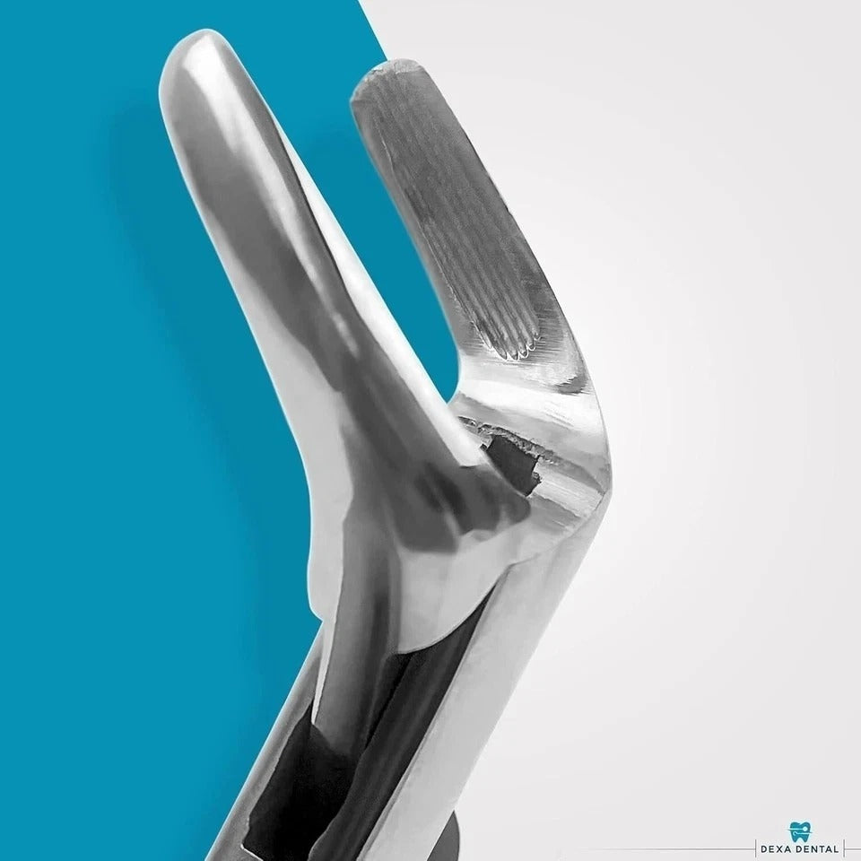 Heavy Duty Dental Extracting Forceps 150 151 23, Apical Forceps, Cowhorn Forc...